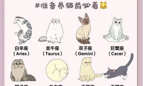 十二星座适合养的猫_十二星座适合养的猫和狗